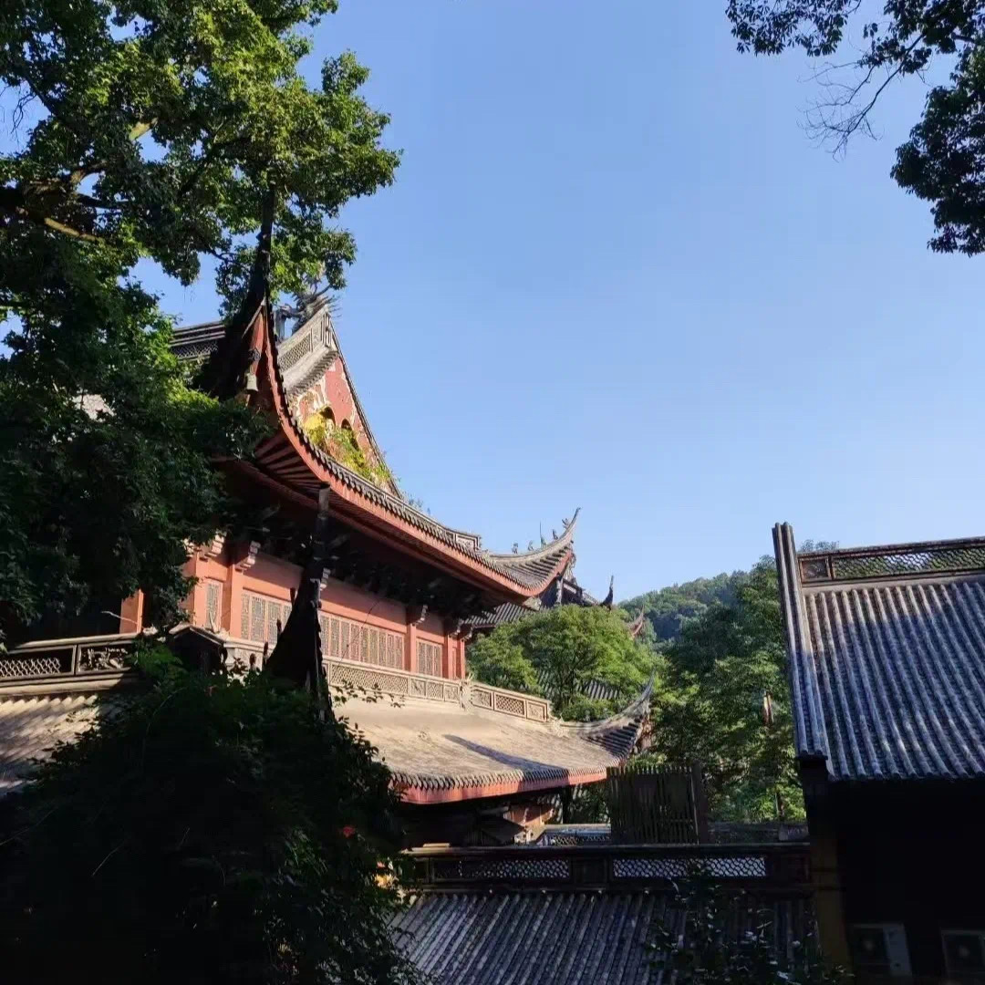 球王会网站